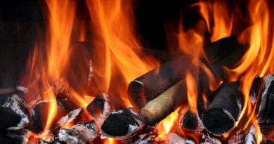 how hot does wood burn