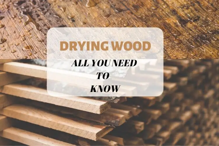 Drying Wood: All You Need to Know - Start Woodworking Now