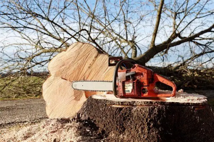 gas chainsaw