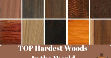 the hardest wood in the world