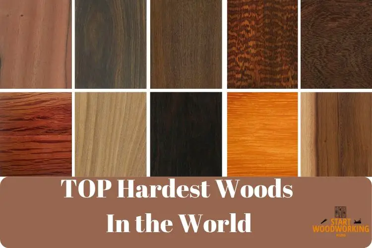 Top 15 Hardest Woods In The World You, What Is The Strongest Wood For Hardwood Floors