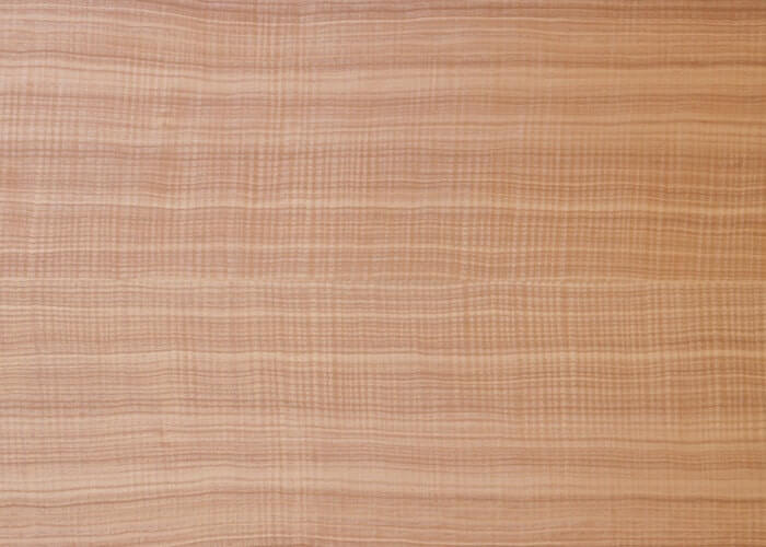 fine line type of  wood veneer