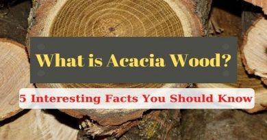 what is acacia wood