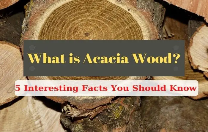 What Is Acacia Wood 5 Interesting, Acacia Wood Furniture Pros And Cons