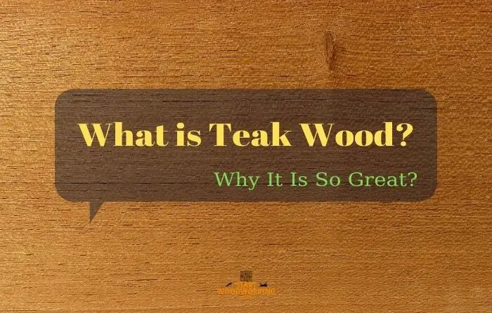 what is teak wood