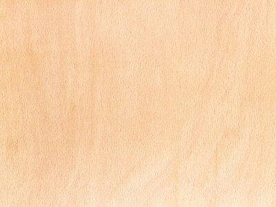 what is the color of beech wood