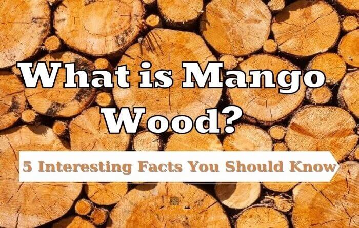 what is mango wood