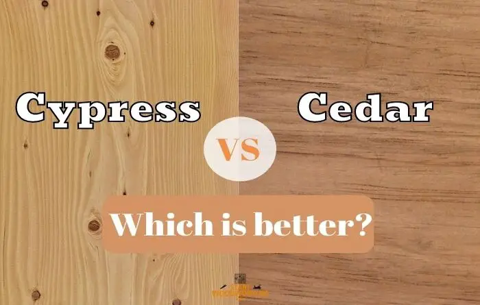 Cypress wood vs Cedar wood