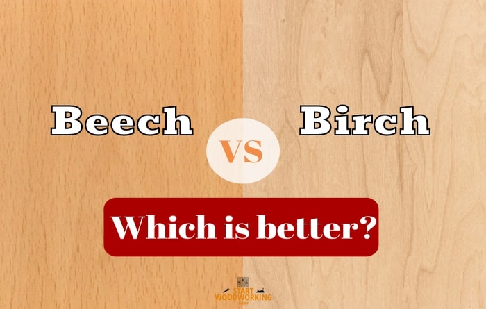 beech wood vs birch wood