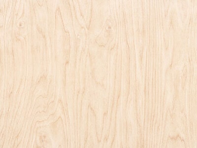 poplar wood color