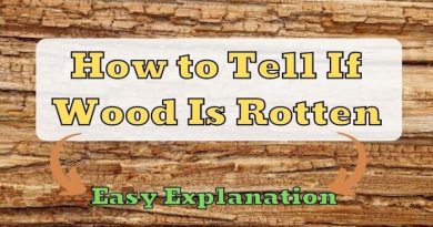 How to Tell if Wood is Rotten