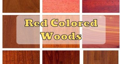 red colored wood