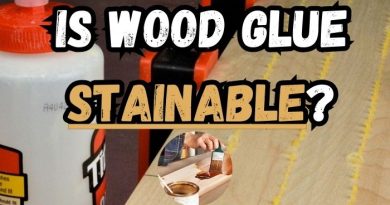Is Wood Glue Stainable