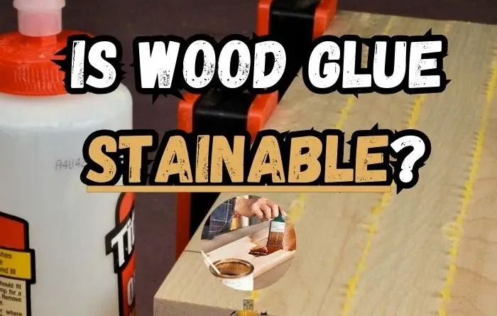 Is Wood Glue Stainable