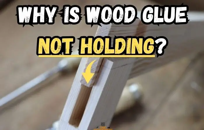 Wood Glue Not Holding Wood Joints