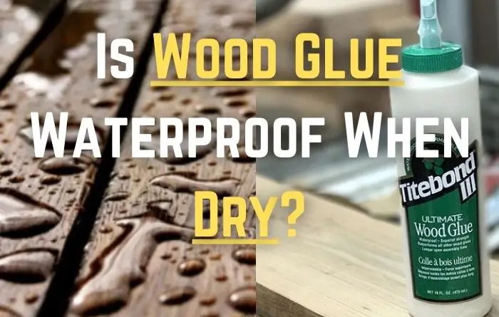 Is Wood Glue Waterproof When Dry?
