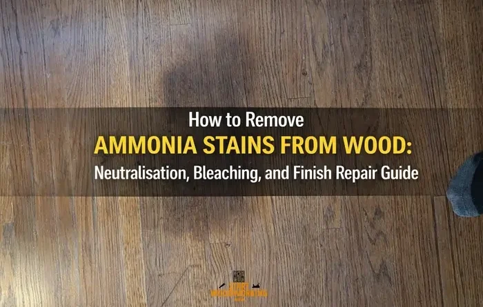 How to Remove Ammonia Stains from Wood Neutralisation, Bleaching, and Finish Repair Guide